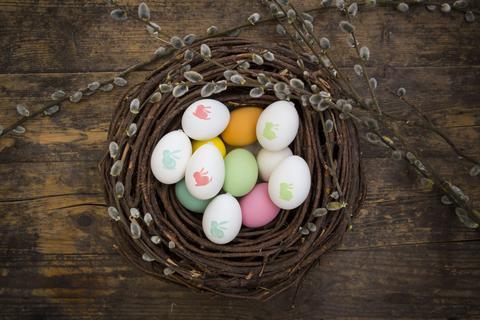 BACKDROP IS ESSENTIAL FOR INDOOR PHOTOGRAPHY