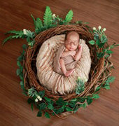 wood photo backdrop for studio backgrounds