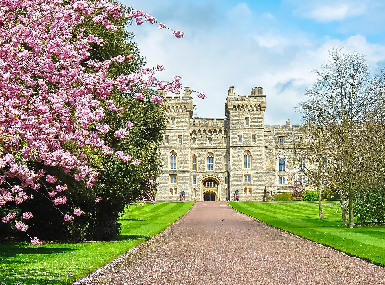 British Spring Tourism Background Windsor Castle in London Suburb Photo Backdrop IBD-20077 - iBACKDROP-British, Flower Background, Flower Houses Backdrop, Leaf Backdrop, Spring Backdrop, Spring Backdrops, Tree Backdrops, Trees Parks Woodland Backdrops, Windsor Castle