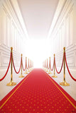 Red Carpet Backdrops Party Background Wall Backdrop CM-5973-E