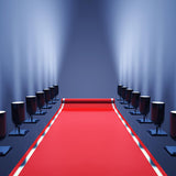 Carpet Wedding Backdrop Photography Background IBD-19432