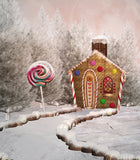 Christmas Cabin and Lollipops for Children Christams Backdrops IBD-19233