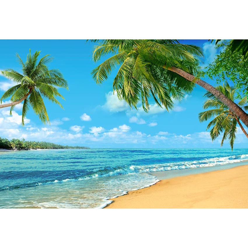 Sunset Backdrop Beaches Beach Backdrop G-502
