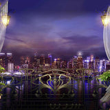 Window Backdrops Night Backdrop Rivers Background G-662
