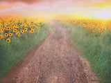Farm Sunflowers Field Path Natural landscape Backdrops IBD-246783