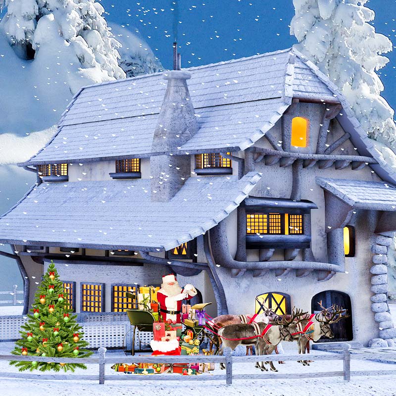 Christmas House Santa Sled Snow Ground Backdrop IBD-246947 size: 10ftx10ft