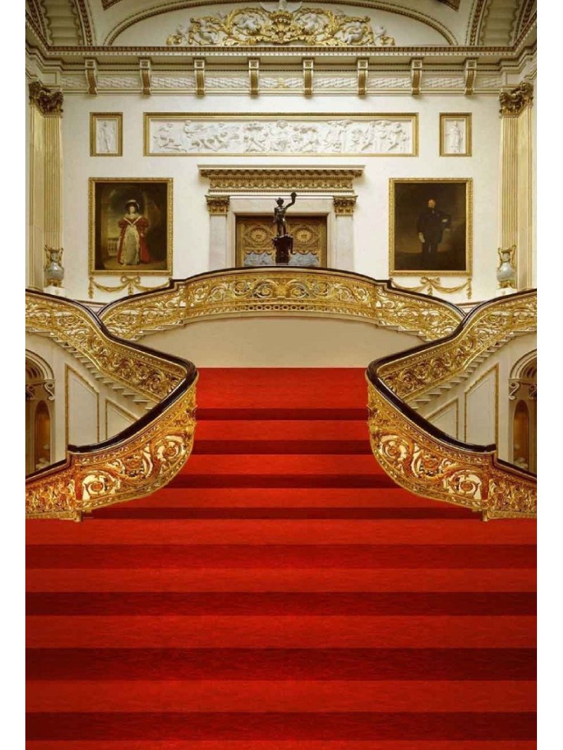 Red Carpet Backdrops Party Backdrops Gold Background lv-2731 size:1.5x2.2