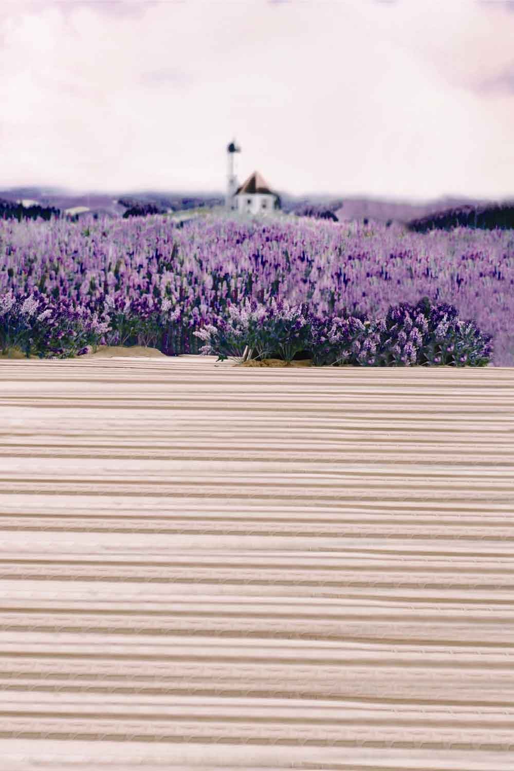 Season Backgrounds Summer Backdrops Purple Backdrop Lavender N10508-E
