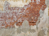 Old Wall Backdrop Lime Building Background IBD-20181 - iBACKDROP-Backdrop, Background, Texture Background, Textured Background, Textured Backgrounds, Wall Background, Wall Brick Background, Wall Floor Background, Wall Photography Backdrop