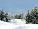 Pine Forest Surounded Snow Scenery Background For Photography IBD-24596