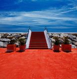 Red Carpet Wedding Backdrop Portrait Background IBD-19433