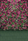 Patterned Backdrops Flower  Backgrounds Backdrops Fantastic S-2699