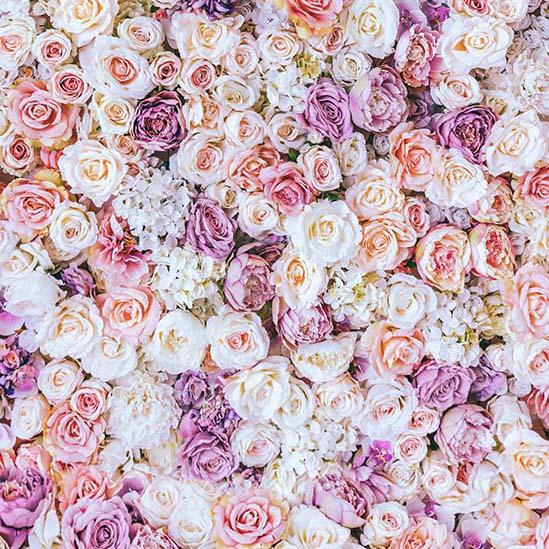 Flowers Backdrops Floral Background Flower Wall Backdrop Wood Floor S-3173 - iBACKDROP