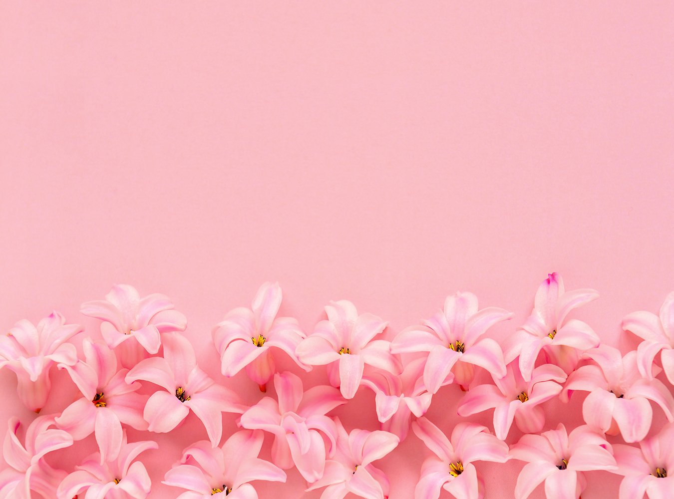 Spring Scenery Background Hyacinth Pink Surprise Dutch Hyacinth Photography Backdrop IBD-20078 - iBACKDROP-Dutch Hyacinth, For Photography, Natural Backdrop, photo backdrop, photo backdrop ideas, photography backdrops, Photography Background, Portrait Photography backdrops, Scenery Background, Spring Backdrop, Spring Backdrops, Sweet Pink backdrop