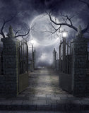Festival Backdrops Halloween Dark Night Background Pale Moonlight IBD-P19074