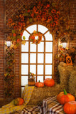 Festival Backdrops Halloween Backdrops Window Pumpkin Floral Backdrop IBD-P19028