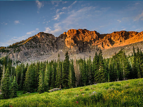 Mountain Backdrops