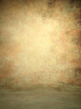 Abstract Textured Background Photography Backdrops IBD-201203-600x800