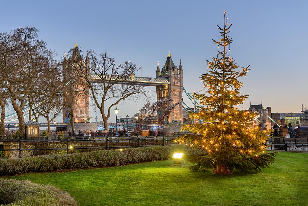 American Bridge Christmas Tree Background Festival Backdrops IBD-19402 - iBACKDROP-chri, chris, christ, christm, Christmas Backdrop, Christmas Backdrops, Christmas Photo Backdrop, Diy Christmas Photo Backdrop, Wood Backdrop, Wooden Backdrop