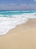 Beach Vacation Background Summer Scenic Backdrop IBD-201230