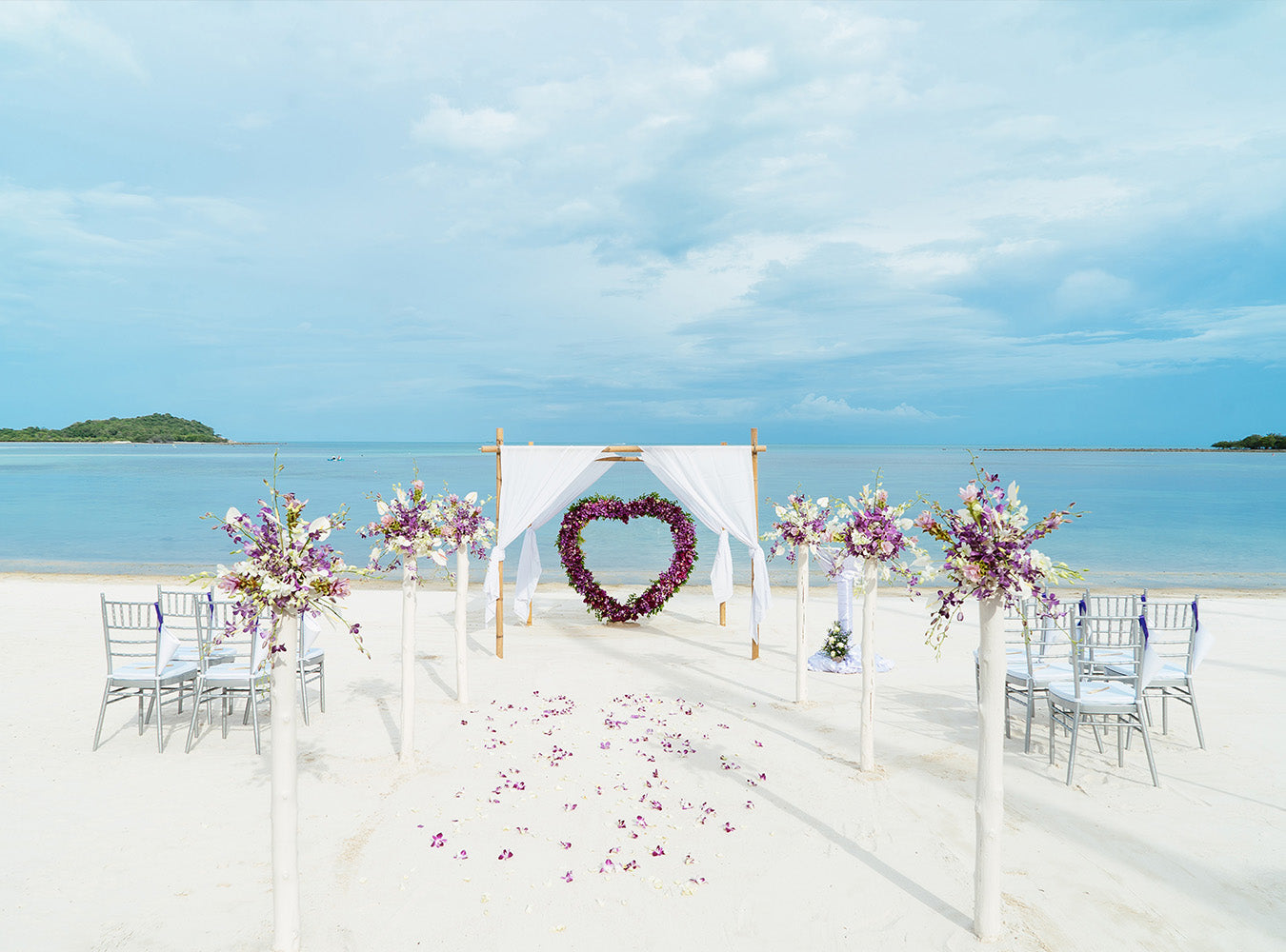 Beach Wedding Decoration Backdrop For Studio and Home Photography IBD-24475