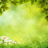 Beautiful Natural Background Green Grass White Flowers Blooming Photography Backdrop IBD-20074