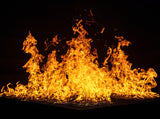 Bonfire Backdrop For Portrait Photography IBD-24450
