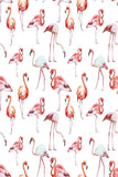 Baby Shower Backdrops Red Backdrops  Flamingo Backgrounds CM-S-1272-E - iBACKDROP-backdrop for pictures, custom, custom backdrop banner, diy photo backdrop, photography backdrop, pink backdrop
