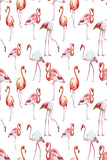 Baby Shower Backdrops Red Backdrops  Flamingo Backgrounds CM-S-1272-E - iBACKDROP-backdrop for pictures, custom, custom backdrop banner, diy photo backdrop, photography backdrop, pink backdrop