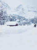 Season Backdrops Winter Background Snowflake Backdrop CM-S-1829-E