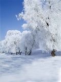 Festival Backdrops Winter Backdrops Snowy Background CM-S-1830-E