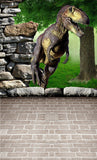 Backdrops of Film Dinosaur Background Stone Wall Backdrop CM-S-792-E
