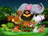 Cartoon Animals Gather in the Background Room Decoration Photography Backdrop IBD-19873 - iBACKDROP-Animal Backdrops, Baby Kid Backdrops, Beautiful Backdrops, Cartoon Fairytale Backdrops, Figure Photography backdrop, Green Backdrop, photography backdrops, Portrait Photography backdrops, Room Decoration