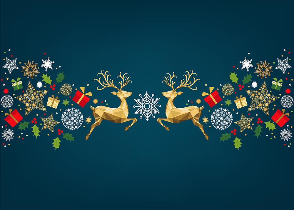 Christmas Atmosphere Background Baby Shower Backdrops IBD-19240