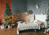Christmas Indoor Decorations Background Festival backdrops IBD-19376
