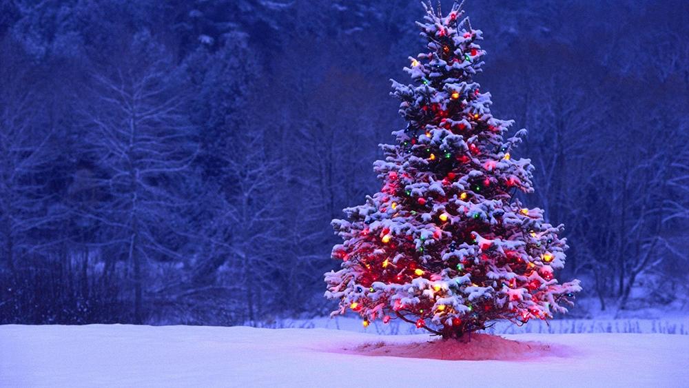 Christmas Tree on Snow Field Photography Backdrops IBD-19225