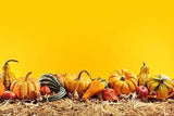 Crop Yellow Background Thanksgiving Theme Photography Backdrops IBD-19675