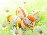 Easter Eggs Photography Backdrops IBD-24480