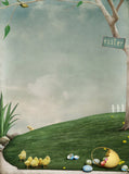 Easter Small Egg Shell Green Grass Background Festival Photo Backdrop IBD-19924