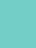 Emerald Color Vibrant Background Solid Color Portrait Photography Motion Theme Backdrop IBD-19896 - iBACKDROP-Backdrops Photography, Emerald Color Vibrant Background, Motion Theme, office, Portrait Backdrops, Portrait Photo Backdrop, Portrait Photography backdrops, Professional Backdrops, Solid Color
