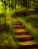 Fairytale Forest And Steps Backdrop For Baby Photography IBD-24571