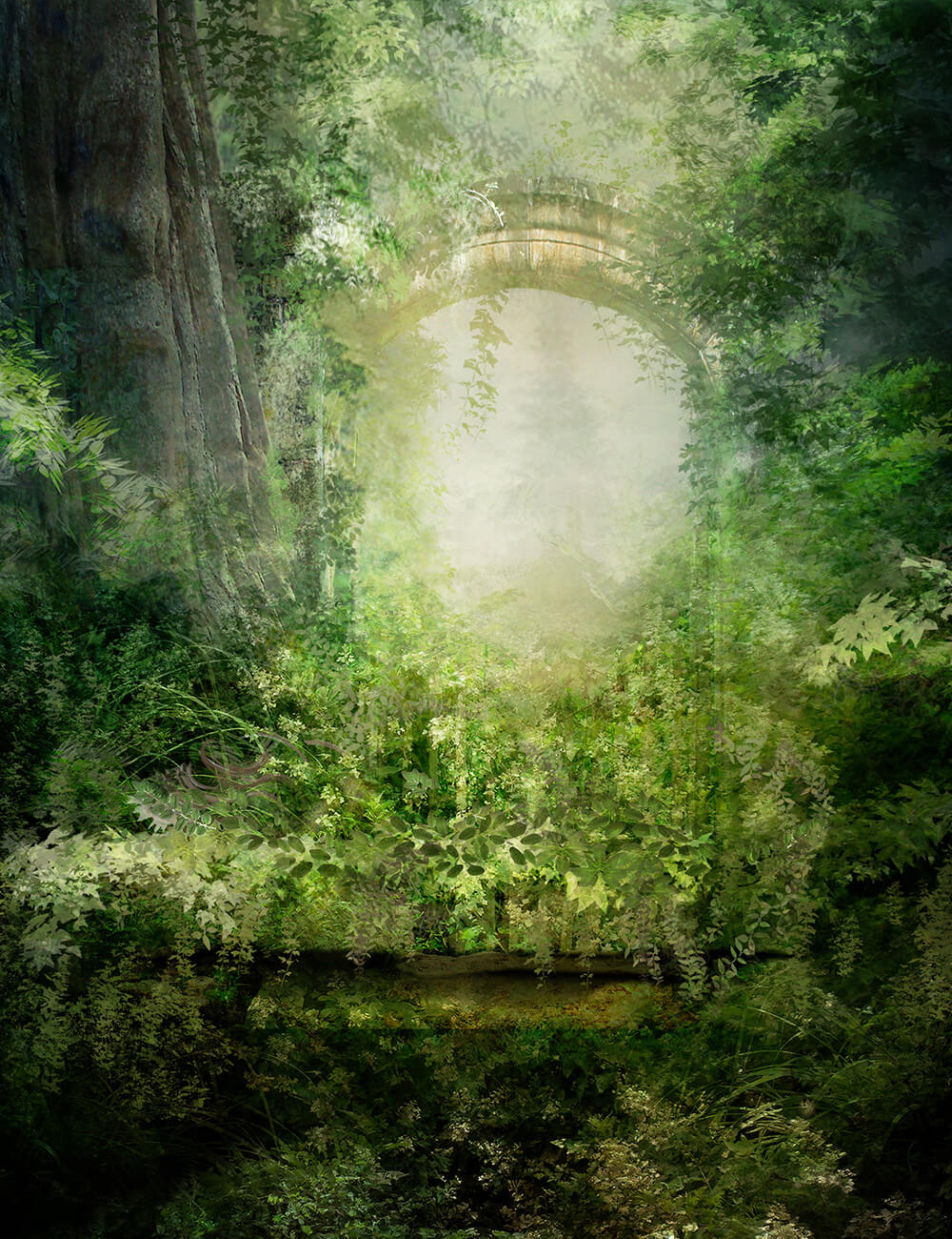 Fairytale Forest And Stone Bridge Background For Photography IBD-24573
