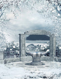 Fairytale Freezing Pool Backdrop For Baby Photography IBD-24570