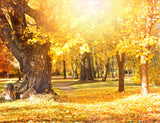Fall Autumn Yellow Leaves Scenic Background For Photography IBD-24597