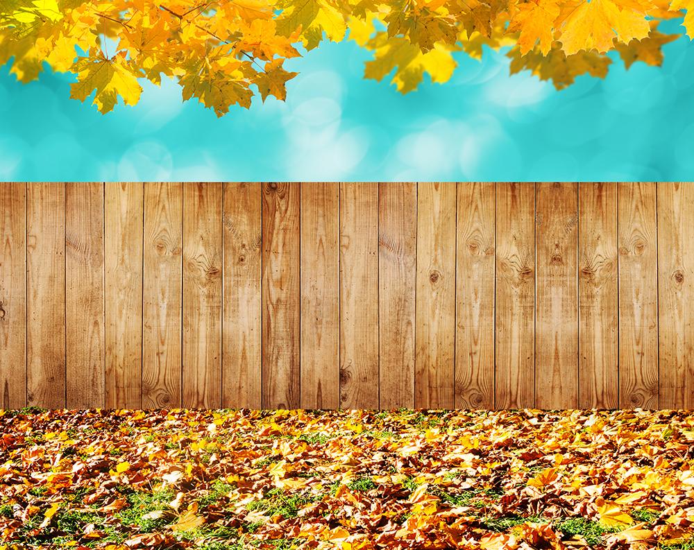 Fall Leaves Background Autumn Backdrops IBD-19352