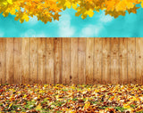 Fall Leaves Background Autumn Backdrops IBD-19352