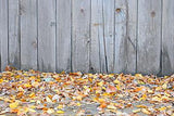 Falling Leaves Ground with Wood Background IBD-19663