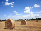 Farm Blue Sky Background Autumn Harvest Backdrop IBD-201236 - iBACKDROP-Autumn Backdrops, fall backdrop, farm backdrop, Season Backdrops, Sky Backdrops, Sky Photography Background