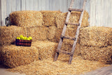Farm Haystack Ladder Background Autumn Backdrops IBD-19355