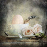 Festival Mother's Day Meaning Egg Hatching Birth Background Photography Backdrop IBD-20121